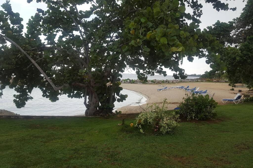 Negril Condo By The Beach Apt. 194 Point Village ภายนอก รูปภาพ